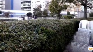 亚洲中文字幕乱码一区|亚洲精品99久久久久中文字幕